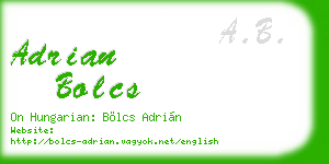 adrian bolcs business card